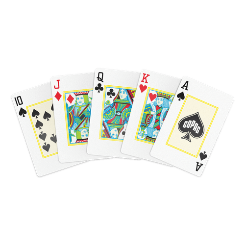 Baralho Texas Hold'em Naipe Grande Truco Pife Poker Copag