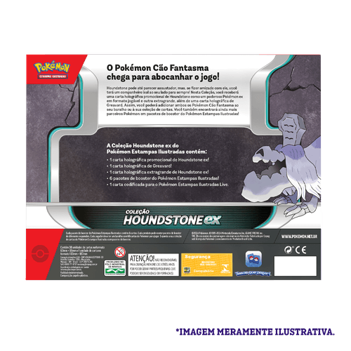 Pokemon-TCG-Houndstone-ex-Box---Back_PTBR